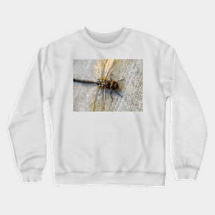 Macro Dragonfly Photography Art Crewneck Sweatshirt